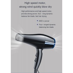 DALING - Uscator de par cu 1 duza difuzoare 3000W, 18071, tescomak.ro