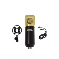 Microfon profesional pentru inregistrari